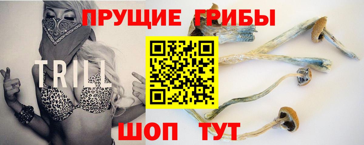 Псилоцибиновые грибы прущие грибы Каменка