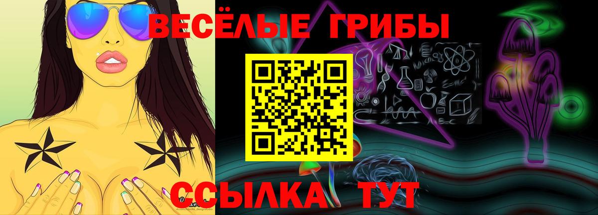 Галлюциногенные грибы MAGIC MUSHROOMS  Вход с VPN  Галлюциногенные грибы Cubensis  Каменка 